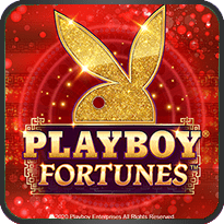 Playboy Fortunes ™